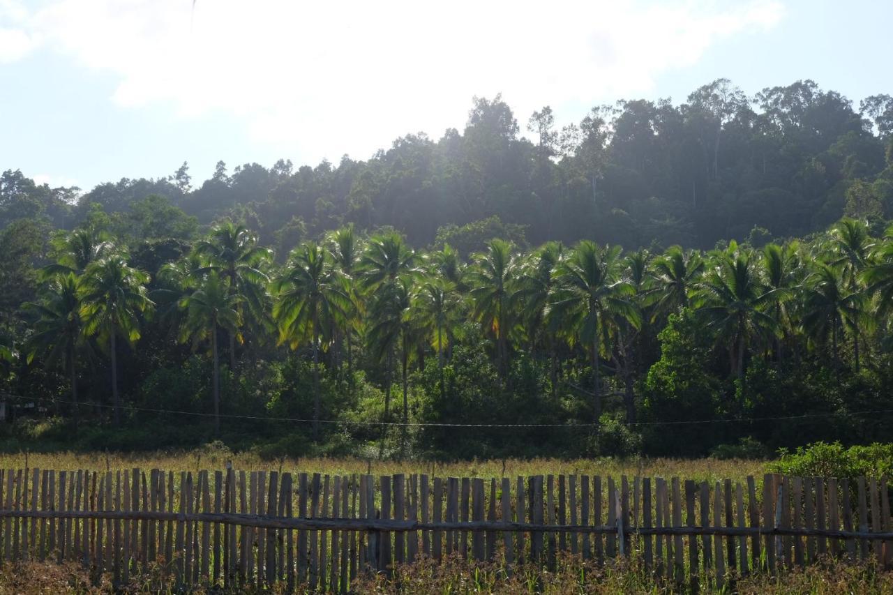 סן ויסנטה Palayan Paradise Huts מראה חיצוני תמונה